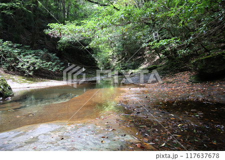 深谷龍鎮渓谷・龍鎮神社【奈良県宇陀市】 深谷龍鎮渓谷・龍鎮神社【奈良県宇陀市】 117637678