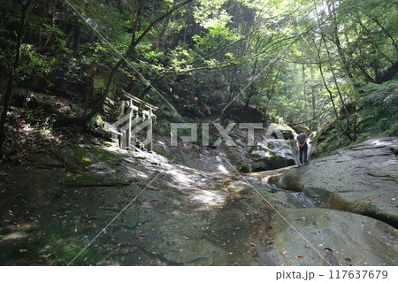 深谷龍鎮渓谷・龍鎮神社【奈良県宇陀市】 深谷龍鎮渓谷・龍鎮神社【奈良県宇陀市】 117637679