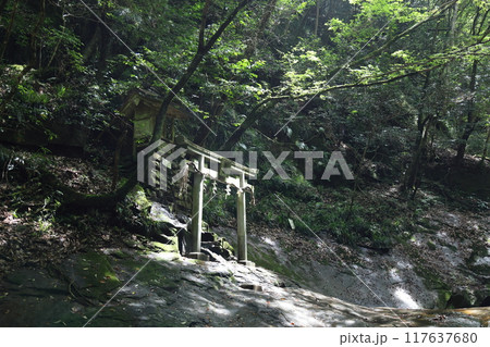 深谷龍鎮渓谷・龍鎮神社【奈良県宇陀市】 117637680