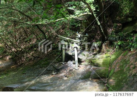 深谷龍鎮渓谷・龍鎮神社【奈良県宇陀市】 117637697