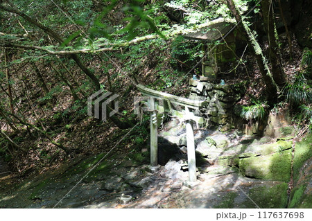 深谷龍鎮渓谷・龍鎮神社【奈良県宇陀市】 117637698