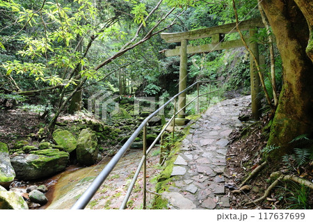 深谷龍鎮渓谷・龍鎮神社【奈良県宇陀市】 深谷龍鎮渓谷・龍鎮神社【奈良県宇陀市】 117637699