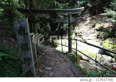 深谷龍鎮渓谷・龍鎮神社【奈良県宇陀市】 深谷龍鎮渓谷・龍鎮神社【奈良県宇陀市】 117637700