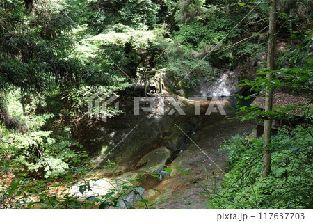 深谷龍鎮渓谷・龍鎮神社【奈良県宇陀市】 深谷龍鎮渓谷・龍鎮神社【奈良県宇陀市】 117637703