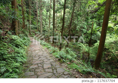 深谷龍鎮渓谷・龍鎮神社【奈良県宇陀市】 深谷龍鎮渓谷・龍鎮神社【奈良県宇陀市】 117637704