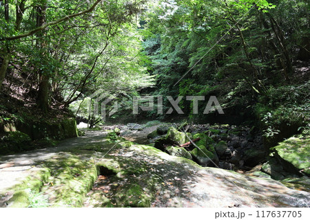 深谷龍鎮渓谷・龍鎮神社【奈良県宇陀市】 117637705