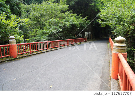 深谷龍鎮渓谷・龍鎮神社【奈良県宇陀市】 117637707