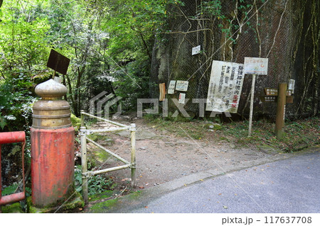 深谷龍鎮渓谷・龍鎮神社【奈良県宇陀市】 117637708