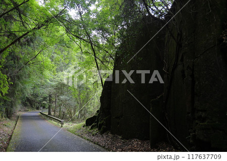 深谷龍鎮渓谷・龍鎮神社の周辺道【奈良県宇陀市】 117637709
