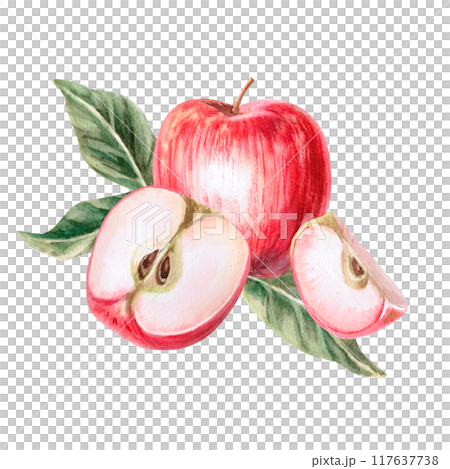 Composition of whole apple, half and slice in isolated watercolor illustration. Fruits for organic food design, posters, fabric printing, packaging, autumn harvest illustration 117637738