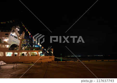 潜水調査船支援母船よこすか 117637743