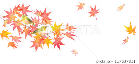 赤く色づいた秋のモミジの枝と野鳥（メジロ）の水彩イラスト。バナー背景。日本スタイル（ベクター） 117637811