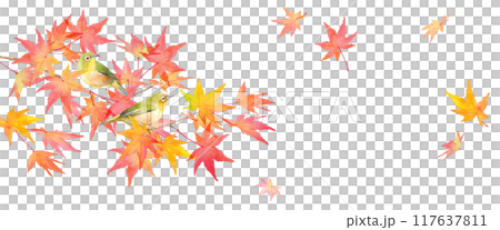 赤く色づいた秋のモミジの枝と野鳥（メジロ）の水彩イラスト。バナー背景。日本スタイル（ベクター） 117637811