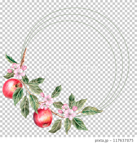 Round frame with apple tree branch and ripe apples on it. Isolated apple illustration for farm organic products design, juice packaging and posters. Fruit harvest 117637875