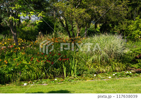 The University botanical garden, the Loki Schmidt Garten in Altona Hamburg, Germany 117638039
