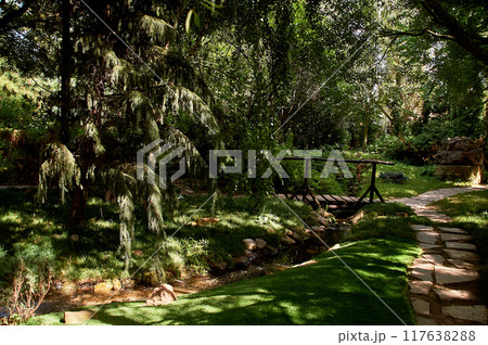 The Garden of Eden with a bridge and a pond. Lush greenery. Spots of sunlight on the lawn 117638288