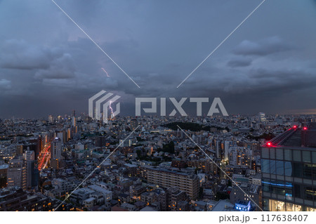 《東京都》ゲリラ雷雨の東京 117638407