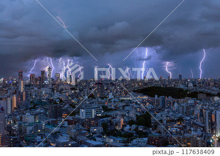 《東京都》ゲリラ雷雨の東京 117638409