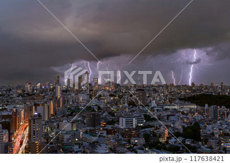 《東京都》ゲリラ雷雨の東京 117638421