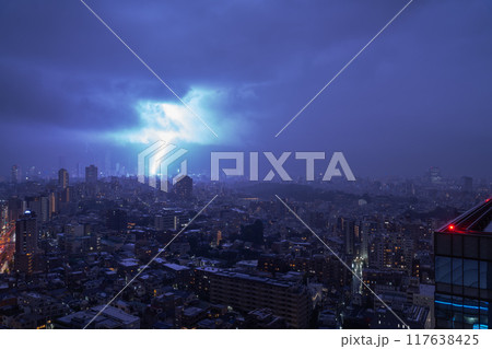《東京都》ゲリラ雷雨の東京 117638425