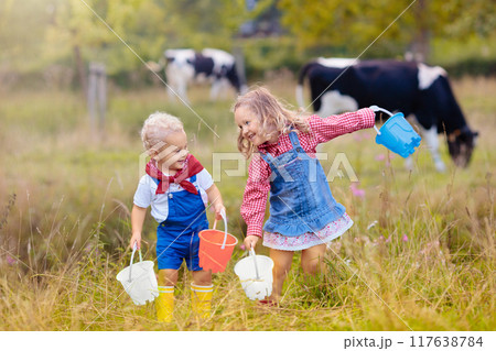 Kids watch cow on dairy farm Kids watch cow on dairy farm 117638784