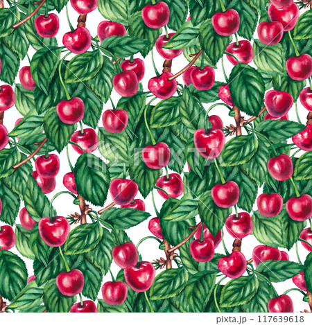 Watercolor cherry berries pattern 117639618