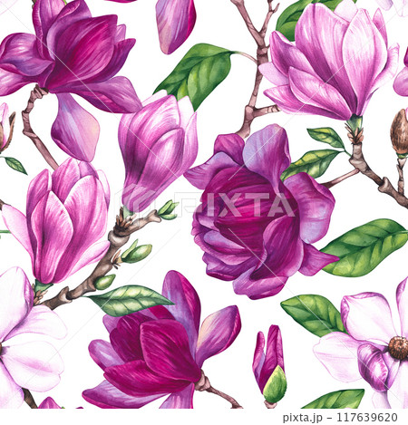 Watercolor magnolia pattern Watercolor magnolia pattern 117639620