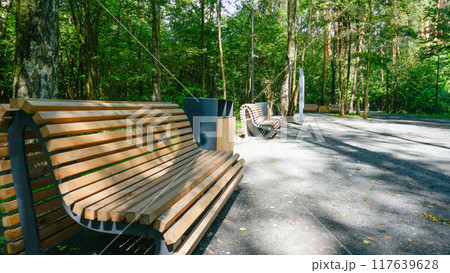 nature summer bench day background natural green park garden grass view outdoor landscape 117639628