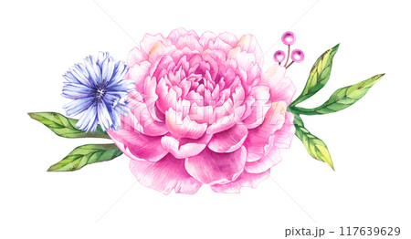 Watercolor pink peonies bouquet 117639629