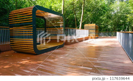 scenic peaceful nature landscape grass leisure green bench outdoor relaxation park forest 117639644