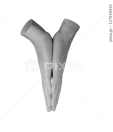 Two hands joined together, isolated symbol on white background. 117639910