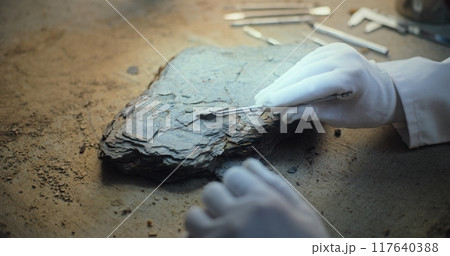 Close up of archaeologist in gloves cleaning fossil using professional tools 117640388