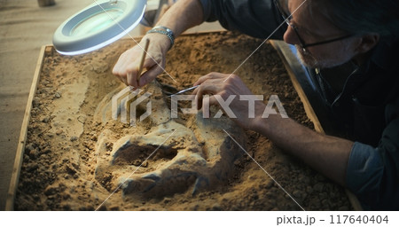 Mature archaeologist cleans ancient extinct human or animal bones 117640404