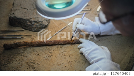 Archaeologist cleans fossil ancient wooden spear under lamp using tools 117640405