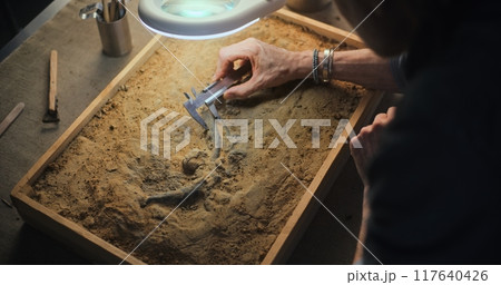Archaeologist takes measurements of dinosaur remains with colleague 117640426