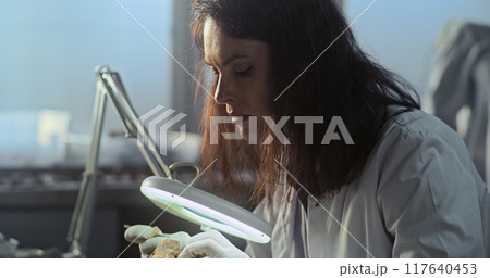 Female scientist works with fossil remains in archaeological lab 117640453