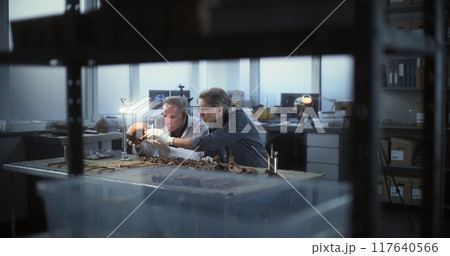Two archaeologists studies fossil skull under lamp and have discussion Two archaeologists studies fossil skull under lamp and have discussion 117640566