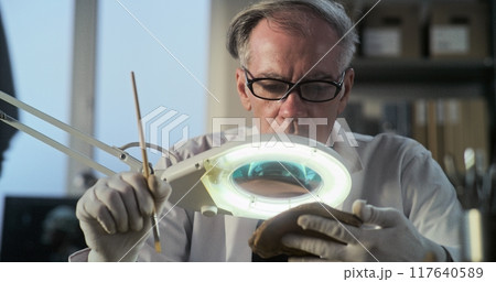 Senior archaeologist cleans fossil bone using brush and tools 117640589