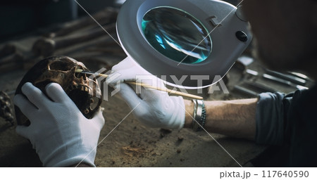 Male scientist cleans fossil remains of ancient human using brush 117640590