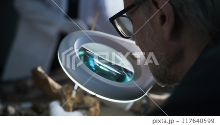 Mature archaeologist studies bones of ancient human and cleans with brush 117640599