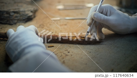 Archaeologist in gloves cleans fossil ancient wooden spear using professional tools 117640634