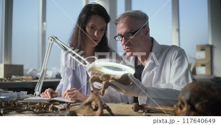 Male and female paleoanthropologists studying fossil remains of ancient bones 117640649