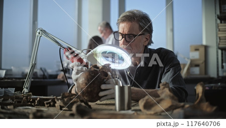 Mature archaeologist cleans fossil remains using professional tool Mature archaeologist cleans fossil remains using professional tool 117640706