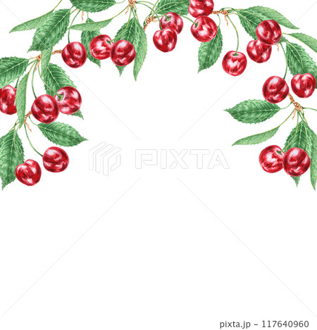 Red cherry branch with green leaf. Juicy hand drawn watercolor illustration, isolated frame for banner template with copy space for text. Food art, fresh botanical realistic painting for prints, cards 117640960