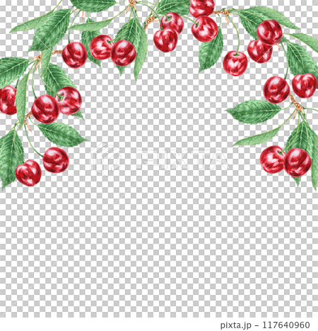Red cherry branch with green leaf. Juicy hand drawn watercolor illustration, isolated frame for banner template with copy space for text. Food art, fresh botanical realistic painting for prints, cards 117640960