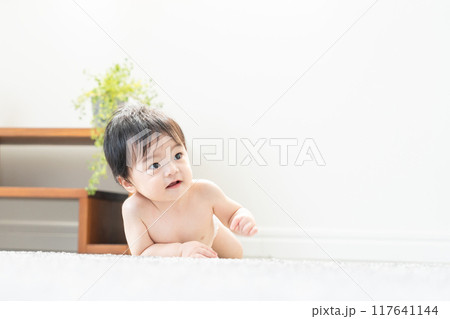ハイハイする赤ちゃん ハイハイする赤ちゃん 117641144