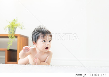 ハイハイする赤ちゃん ハイハイする赤ちゃん 117641146