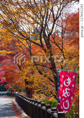 【水沢もみじ谷】の紅葉（三重県四日市市） 117641193