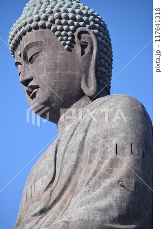 牛久大仏 世界最大のブロンズ立像 牛久大仏 世界最大のブロンズ立像 117641318
