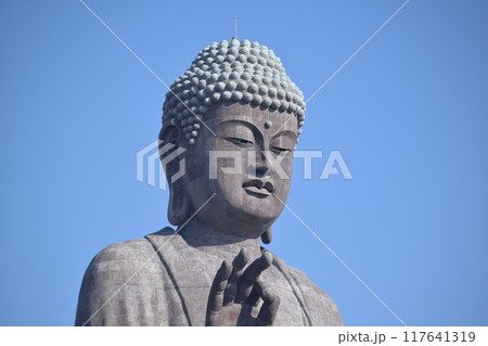 牛久大仏 世界最大のブロンズ立像 牛久大仏 世界最大のブロンズ立像 117641319